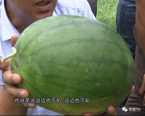 吃瓜青农,揭秘农村新势力背后的故事